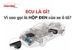 Ecu Là Gì? Nguyên Lý Làm Việc, Tác Dụng Của Ecu 2022