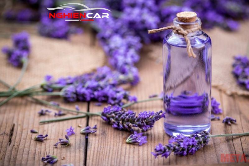 Tinh dầu lavender treo ô tô