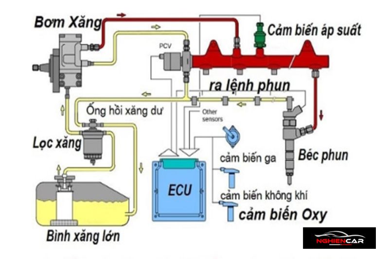 Nguyên lý làm việc của cảm biến oxy