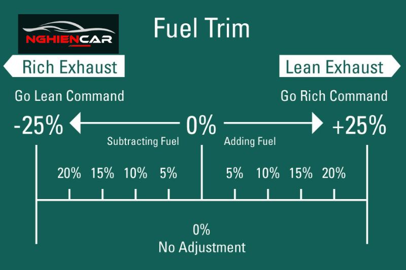 Cách đọc giá trị Fuel trim