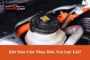 Khi Nào Cần Thay Dầu Trợ Lực Lái? Các Yếu Tố Cần Xem Xét Khi Mua