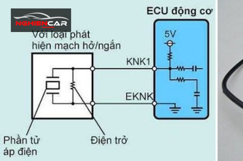 Sơ đồ mạch điện và vị trí của cảm biến Knock Sensor
